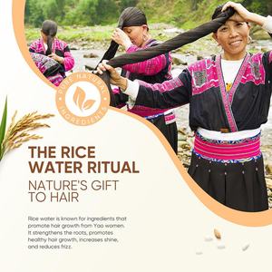 Acondicionador de Crema de Agua de Arroz Orgánica con Logotipo Privado Personalizado OEM, Deja tu Cabello Suave, Sedoso y Brillante - Product Image 5