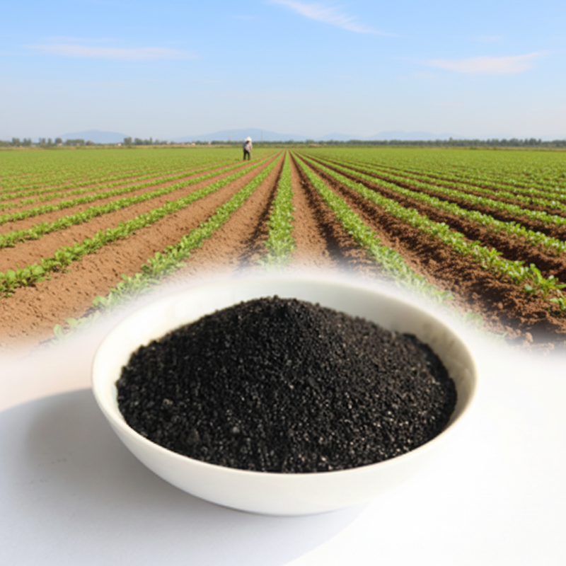 Premium Organic NPK Granular Fertilizer Controlled