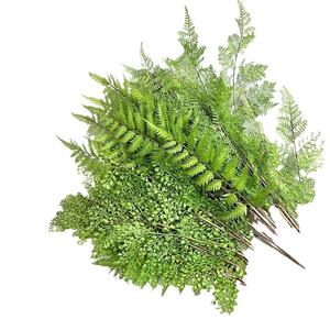 Plante artificielle en pot en plastique, Asparagus Fern Black Bone Fern, 76 cm, pour décoration intérieure/extérieure, Herbe Persane - Product Image 5