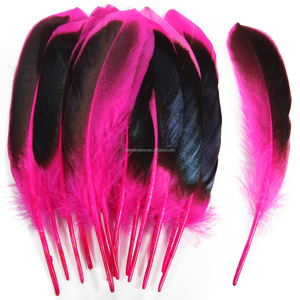 Plumas <span class=keywords><strong>de</strong></span> Pato Naturales Teñidas Directamente, 10-15 cm, Buena Calidad, para Manualidades, Joyería <span class=keywords><strong>y</strong></span> Decoración, Oferta - Product Image 3