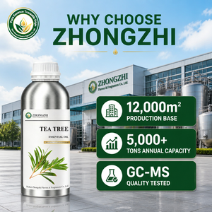 Agent antibactérien naturel Huile d'<span class=keywords><strong>arbre</strong></span> à thé (Melaleuca Alternifolia) pour la désinfection et la purification des surfaces - Product Image 4