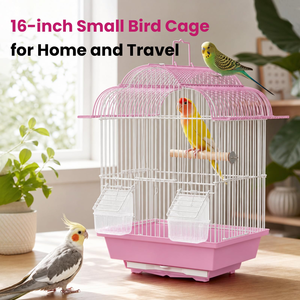 OF Cheap Price Outdoor Wire Mesh Bird Breeding Cage Parrot Cage for Sale - Product Image 4
