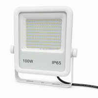 Lampe LED extérieure IP65 100W 15000lm avec cadre en aluminium blanc pour enseigne