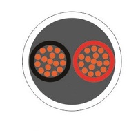 Câble haut-parleur transparent/rouge et noir 2/4/8 conducteurs Fil audio