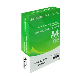Carta da Stampa Bianca Lvyin Shade A40025 A4, Confezione Doppia da 2500 Fogli per Studenti, Bozze e Test, 80 Grammi, per Casa e Ufficio - Product Image 1