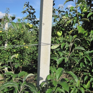 Dự Ứng Lực Bê Tông Đúc Sẵn Cây Ngang/T Chùm/<span class=keywords><strong>H</strong></span>àng Rào <span class=keywords><strong>H</strong></span>/Trụ Cột/Bài Làm Máy Cho Ranh Giới - Product Image 5