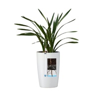 Vente en gros de pots de fleurs créatifs pour la décoration intérieure auto-arrosant pour jardin, peinture pour cuisson, pots de fleurs paresseux en plastique