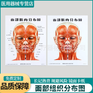Diagrama de Distribución de Vasos Sanguíneos Faciales de Suqian Kewo 59, Póster de Referencia para Cirugía Estética - Product Image 3