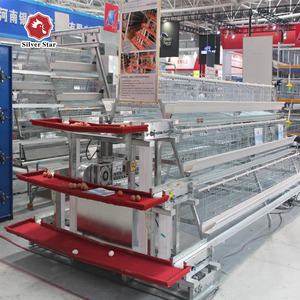 Cage d'alimentation de poulet type H, poulailler de batterie en acier pour la pose de cintre - Product Image 4