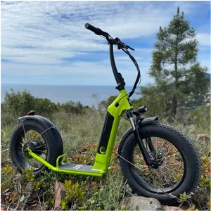 New Design 2 Wheel Fat Snow Big Tyre 250 500 750W Factory To Europe Off Road Electric Kickbike Scooter
