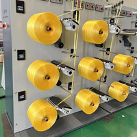 Ligne d'extrusion de ruban en raphia CNRM pp Extrusora PARA pour la production de ficelle de baler pour foin en raphia