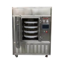 Hoogwaardige magnetron vacuümdroger voor fruit en groenten / Magnetron vacuümdroogmachine / Magnetron droogmachine