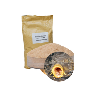 Verbetering van de gewasopbrengst en de bodemgezondheid met bio-organische meststof op basis van Bacillus Subtilis - Product Image 3