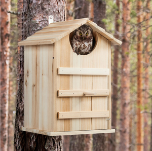 Casa della fauna selvatica appesa in legno scatola di nidificazione per uccelli al di fuori del cedro scatola di nidificazione del gufo grande fienile - Product Image 3