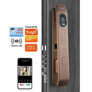 Metallo automatico 3d riconoscimento di sblocco faccia intelligente Tuya Wifi Zigbee serratura porta serrature senza chiave con la macchina fotografica