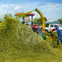Nueva Picadora de Forraje de Alta Capacidad con Alimentación Automática, Amasadora y Cuchillas de Acero Inoxidable 304, 5 Toneladas por Hora para Procesamiento de Alimentos para Ganado