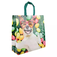 Sacs fourre-tout à impression couleur personnalisée, film OPP laminé, sac à provisions réutilisable à pression ultrasonique PP non tissé