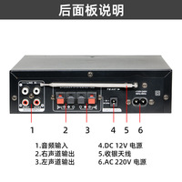 Amplificateur Mini HIFI 2.0 Canaux BT-309A pour la Maison 220V
