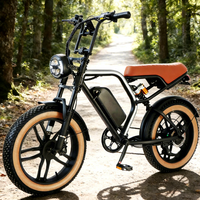 Bicicleta Eléctrica de Montaña Nueva a Bajo Precio, Suspensión, 250W 500W, Neumáticos Anchos, Elektro Fahrrad, Bicicleta Eléctrica para Adultos