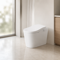 WC intelligent commercial avec bidet électrique, siège chauffant, chasse d'eau à capteur et télécommande