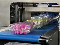 SUK-WS60 voll automatische Brotkeks-Scheuer schwamm fluss Hochwertige horizontale Verpackungs maschine