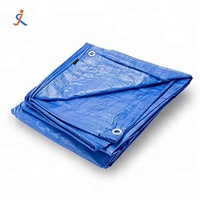 Couverture tout usage de bonne qualité auvent de tente bâche Lona PE bâche poly bâche en plastique