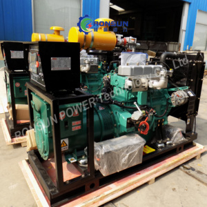 30Kw 50kw 100kw 120kw 150kw 200Kw 300kw khí đốt tự nhiên Máy phát điện đặt khí đốt tự nhiên và Biogas nhiên liệu kép làm mát bằng nước tự động ATS - Product Image 5