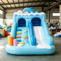 Structure gonflable combinée Escalade et Glisse, avec double toboggan et château rebondissant, pour tout-petits et enfants, idéale pour les jeux en extérieur et les fêtes d'anniversaire