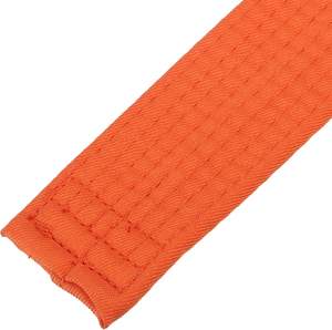 Cintura Colorata PATIKIL per Taekwondo in Poliestere, Cintura per Arti Marziali BJJ, Judo, Karate per Allenatori, Insegnamento e Pratica - Product Image 4