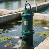 Pompe à eaux usées en fonte, pompe submersible anti-colmatage pour le drainage industriel et le traitement des eaux usées
