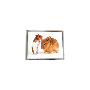 Écran LCD LTM170E2-131 4 pièces CCFL 20 000 heures 17,0 pouces 1280*1024 SXGA 96PPI Écran LCD pas cher pour moniteur de bureau - Product Image 1