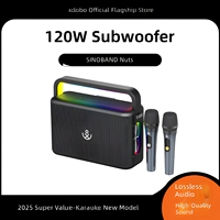 120W Heavy Bass Wireless 5.3 Karaoke-Lautsprecher mit RGB-Ambientebeleuchtung, zwei kabellosen Mikrofonen und tragbarem Griffdesign für Zuhause