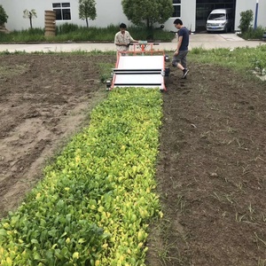 <span class=keywords><strong>Convolvulus</strong></span> cosechadora espinacas cosechadora y lechuga de hoja máquina de cosecha - Product Image 3