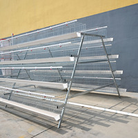 Nouvelles cages de type A pour poulets de chair et poules pondeuses, en acier galvanisé à chaud, pour 96-160 poulets, élevage avicole