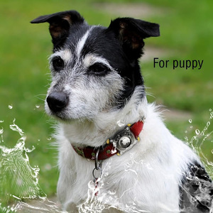 Funda de etiqueta de aire multicolor de alta calidad para Collar de perro y gato Funda protectora de silicona impermeable con etiqueta de aire Funda impermeable con etiqueta de aire - Product Image 6