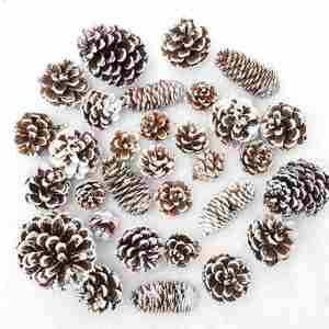 Bulk Natural Mini Pine Cone Wood Ornaments Rustic Christmas Party & Festival Decor Customizable for DIY Crafts - Product Image 1