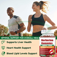 Gummies véganes de berbérine Ausreson OEM – Compléments à base de plantes pour la digestion et la santé intestinale, avec cannelle de Ceylan