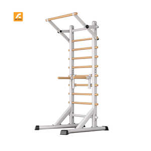 Échelle Murale Multifonctionnelle pour Fitness à Domicile en Acier et Bois, Échelle Suédoise FW13, Cadre FW13 - Product Image 1