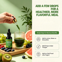 Gouttes de chlorophylle antioxydante OEM pour adultes, antioxydant naturel, 60 ml, liquide oral à base de chlorophylle