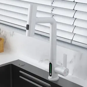 Yeni Model mutfak musluk mutfak sıcak ve soğuk su musluk ve şelale dijital mutfak musluk