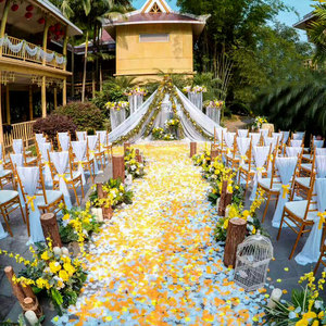 Sillas Chiavari Metálicas Apilables para Banquetes, Bodas, Fiestas y Eventos - Product Image 5