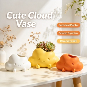 Lindo Florero con Forma de Nube, Organizador de Escritorio Multifuncional, Maceta Creativa para Suculentas, Decoración para Mesa de Oficina en Casa - Product Image 2