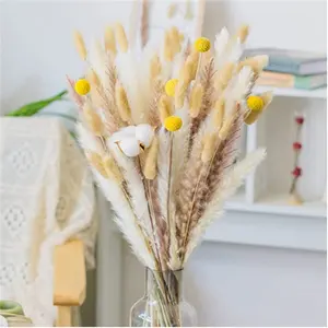 2022 amazon Offre Spéciale yunnan fleurs séchées bouquet Séchés naturellement Pampas Herbe Et coton Bouquet Pour la Décoration Intérieure De Mariage Décor