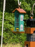 Nuevo Comedero para Pájaros Portátil de Metal y Plástico para Colgar en Exteriores, para Patio/Jardín, Uso Automático para Pájaros