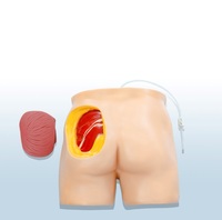 Modelo de Simulación de Inyección en Glúteos con Estructura Anatómica para Entrenamiento de Enfermería, Ciencias Médicas, Herramientas de Enseñanza Médica