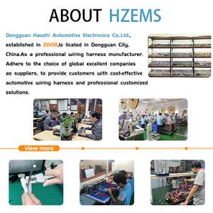 Fabricación de Arneses de Cables para Sistemas de Gestión de Baterías (BMS) Automotrices, Kits de Arneses de Cableado Personalizados para ECU, ECM, Sensores Automotrices, Fabricante de Cables - Product Image 5