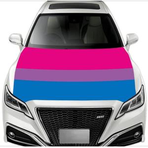 Housse de capot de voiture de haute qualité, élastique, résistante aux intempéries, lavable, pour la fierté <span class=keywords><strong>gay</strong></span> et lesbienne, pour la décoration - Product Image 2