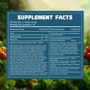 Polvo Verde OEM ODM con Mezcla de Antioxidantes y Hongos Patentada, Fibra Dietética que Apoya la Energía Natural, Polvo Herbal - Product Image 2