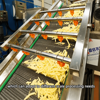Volledig automatische productielijn voor frieten en aardappelchips, fruit- en groenteschilmachines, friteuse, aardappelverwerkingsmachine