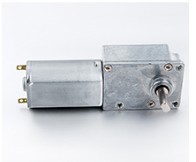 뜨거운 중국 공장 저렴한 가격 4.5v 6v <span class=keywords><strong>12v</strong></span> 24v 저속 고토크 <span class=keywords><strong>DC</strong></span> 웜 기어 모터 180 <span class=keywords><strong>dc</strong></span> 마이크로 모터 DWG2534-180 - Product Image 3